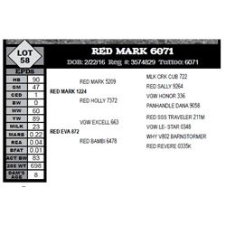 RED MARK 6071
