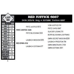 RED JUSTICE 6087