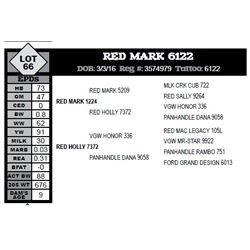 RED MARK 6122