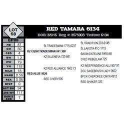 RED TAMARA 6134