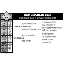 RED CHARLIE 6135