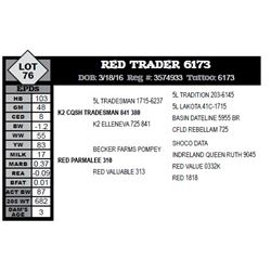 RED TRADER 6173