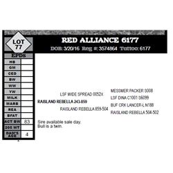 RED ALLIANCE 6177