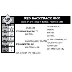 RED BACKTRACK 6165