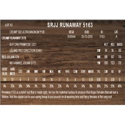 SRJJ RUNAWAY 5163