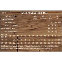 SRJJ PACESETTER 4174