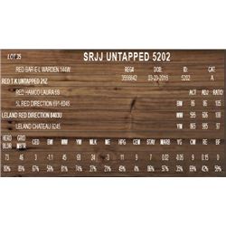 SRJJ UNTAPPED 5202