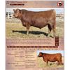 Image 1 : DKK PLATINUM 6113