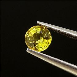 Natural Canary Yellow Sapphire 0.50 Cts - VVS
