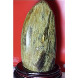 Natural Collectors Rare Raw Amber 540 Grams - Untreated