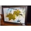 Image 1 : LARGE FRAMED PRINT
