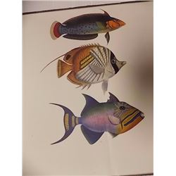 PRINT - 3 FISH - PRINTED IN ITALY