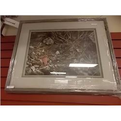 FRAMED LIMITED EDITION PRINT - TERRITORIAL DISPUTE - WRENS - ALAN HUNT - ESTIMATED GALLERY PRICE $42