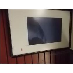FRAMED PICTURE - C1788
