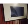 Image 1 : FRAMED PICTURE - C1788