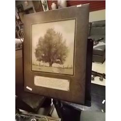 FRAMED PICTURE - TREES