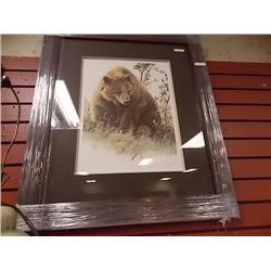 FRAMED LIMITED EDITION PRINT - GRIZZLY IN THE CHOKE CHERRIES - AMY BRACKENBURY - ESTIMATED GALLERY P