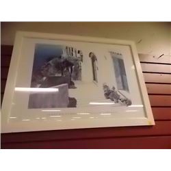 FRAMED PICTURE