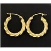Image 1 : Hoop Earrings
