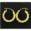 Image 1 : Hoop Earrings