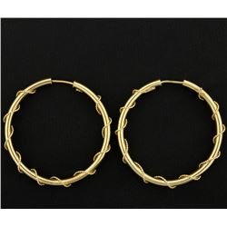 Large Hoop Earrings