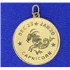 Image 1 : Capricorn Pendant