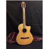 Image 1 : ACOUSTIC GUITAR W/ SOFT GIG BAG