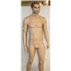 Image 1 : MALE MANNEQUIN WITH REMOVABLE ANATOMY