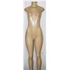 Image 1 : FEMALE MANNEQUIN - TORSO & LEGS ONLY