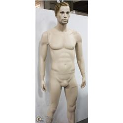 MALE MANNEQUIN WITH REMOVABLE ANATOMY