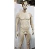 Image 1 : MALE MANNEQUIN WITH REMOVABLE ANATOMY