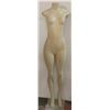 Image 1 : FEMALE MANNEQUIN - TORSO & LEGS ONLY