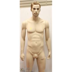 MALE MANNEQUIN WITH REMOVABLE ANATOMY