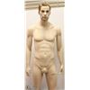 Image 1 : MALE MANNEQUIN WITH REMOVABLE ANATOMY