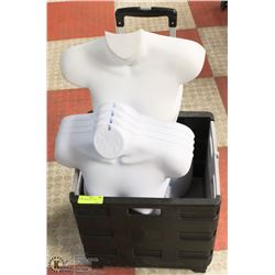 COLLAPSIBLE DOLLY BOX SOLD WITH 5 FEMALE