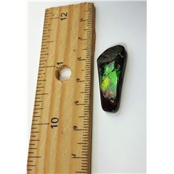 GREEN/ORANGE FIRE AMMOLITE GEMSTONE