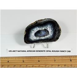 NATURAL AFRICAN DENDRITE OPAL FOSSIL SPECIMEN