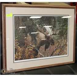 CARL BRENDERS CALM BEFORE THE CHALLENGE MOOSE