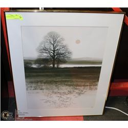 FRAMED PICTURE 24"X32"