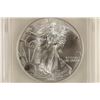 Image 1 : 2002 AMERICAN SILVER EAGLE ICG MS67