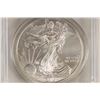 Image 1 : 2010 AMERICAN SILVER EAGLE PCGS MS69