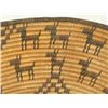 Image 5 : Apache Basket