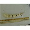 Image 6 : NW Coast Bone Awl