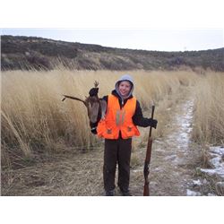 5 BIRD PHEASANT SHOOT – GUIDE AND DOG PROVIDED