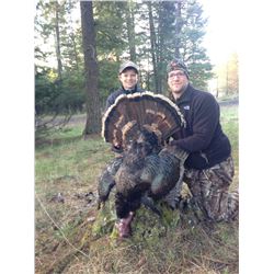 YOUTH TURKEY HUNT (WASHINGTON STATE), CUSTOME BOX CALL, & FULL BODY TAXIDERMY TURKEY MOUNT