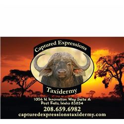 DEER SIZE SHOULDER MOUNT