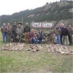PHEASANT HUNT AT LITTLE CANYON  SHOOTING PRESERVE