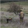Image 2 : PHEASANT HUNT AT LITTLE CANYON  SHOOTING PRESERVE