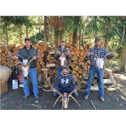 IDAHO ELK HUNT (DROP CAMP)