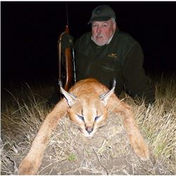 Caracal & Serval With Hounds - A very special double cat hunt in South Africa's Free State!